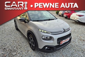 Klimatronik Parktronik